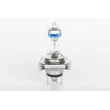 Ampoule BOSCH 1 987 301 077 - Visuel 2