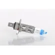Lot de 2 Ampoules, projecteur longue portée BOSCH 1 987 301 105 - Visuel 3