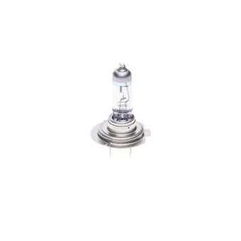 Lot de 2 Ampoules, projecteur longue portée BOSCH 1 987 301 107
