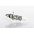 Ampoule, projecteur longue portée BOSCH 1 987 302 019 - Visuel 3