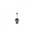 Ampoule, projecteur antibrouillard BOSCH 1 987 302 024 - Visuel 2