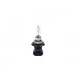 Ampoule, projecteur longue portée BOSCH 1 987 302 026 - Visuel 1