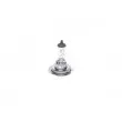 Ampoule, projecteur longue portée BOSCH 1 987 302 071 - Visuel 1