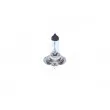 Ampoule, projecteur longue portée BOSCH 1 987 302 075 - Visuel 2