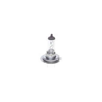 Ampoule, projecteur longue portée BOSCH