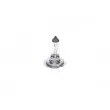 Ampoule BOSCH 1 987 302 091 - Visuel 1