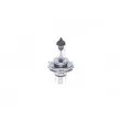 Ampoule BOSCH 1 987 302 092 - Visuel 1
