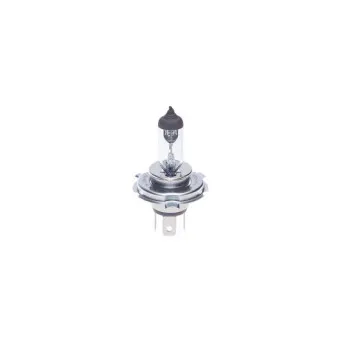 Ampoule BOSCH 1 987 302 092