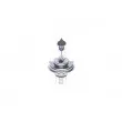 Ampoule BOSCH 1 987 302 104 - Visuel 1