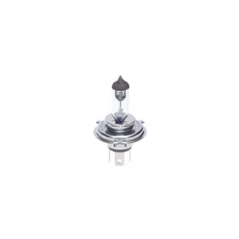 Ampoule BOSCH 1 987 302 104