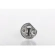 Ampoule BOSCH 1 987 302 114 - Visuel 2