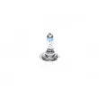 Ampoule BOSCH 1 987 302 171 - Visuel 1