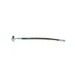 Flexible de frein BOSCH 1 987 481 B25 - Visuel 1