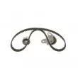 Kit de distribution BOSCH 1 987 946 304 - Visuel 3