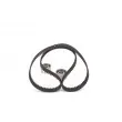 Kit de distribution BOSCH 1 987 946 346 - Visuel 3