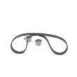 Kit de distribution BOSCH 1 987 946 348 - Visuel 3
