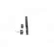 Kit de distribution BOSCH 1 987 946 599 - Visuel 2