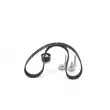 Kit de distribution BOSCH 1 987 946 672 - Visuel 3