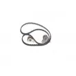 Kit de distribution BOSCH 1 987 946 707 - Visuel 3