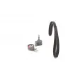 Kit de distribution BOSCH 1 987 946 711 - Visuel 2