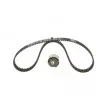 Kit de distribution BOSCH 1 987 946 716 - Visuel 3