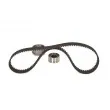Kit de distribution BOSCH 1 987 948 976 - Visuel 3