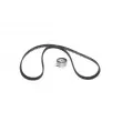 Kit de distribution BOSCH 1 987 948 994 - Visuel 3