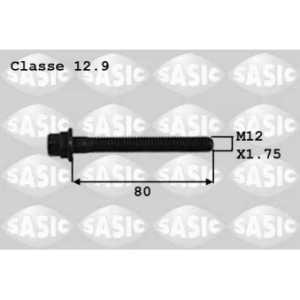 Vis de poulie SASIC 8700012