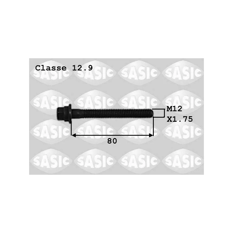 Vis de poulie SASIC 8700012