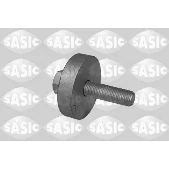 Vis de poulie SASIC 8704009