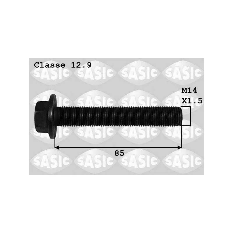 Vis de poulie SASIC 8706021