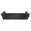 Intercooler, échangeur DENSO DIT01004 - Visuel 2