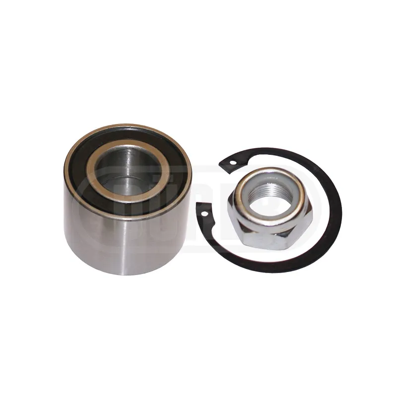 Roulement de roue arrière DÜRER R60969K