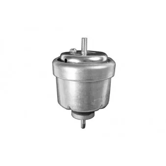 Support moteur avant droit DÜRER SM5075
