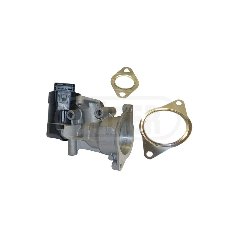 Vanne EGR DÜRER VR21144