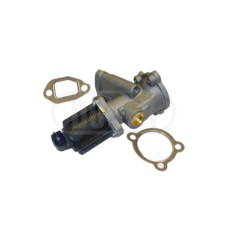 Vanne EGR DÜRER VR31129