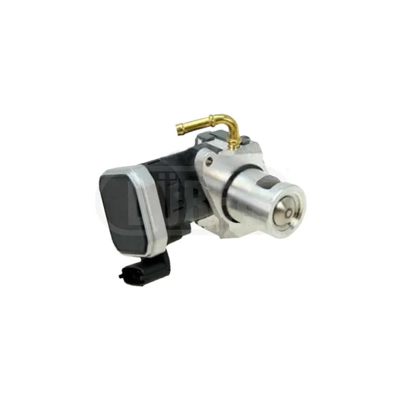 Vanne EGR DÜRER VR51113