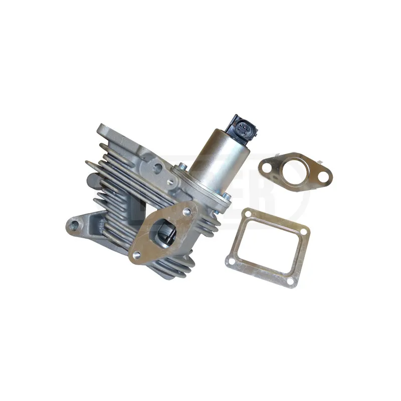 Vanne EGR DÜRER VR61114
