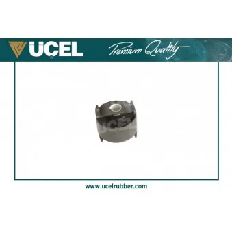 Suspension, bras de liaison UCEL