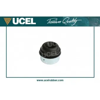 Suspension, corps de l'essieu UCEL 10863