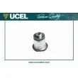 Suspension, corps de l'essieu UCEL 10973 - Visuel 1