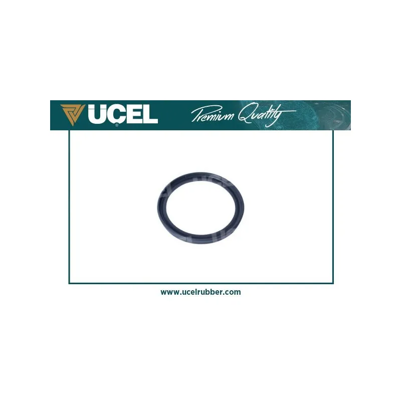 Bague d'étanchéité, gaine de suralimentation UCEL 15134