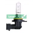 Ampoule, projecteur longue portée LUCAS LLB190 - Visuel 1