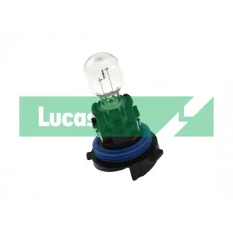 Ampoule, feu de jour LUCAS LLB197