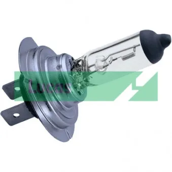 Ampoule, projecteur longue portée LUCAS LLB477P