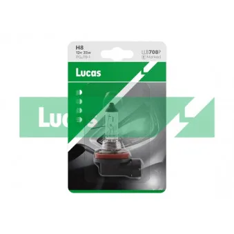 Ampoule, projecteur longue portée LUCAS LLB708P