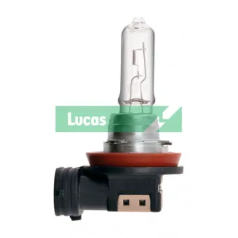 Ampoule, projecteur longue portée LUCAS LLB709