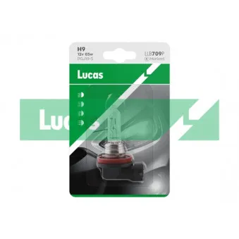 Ampoule, projecteur longue portée LUCAS LLB709P