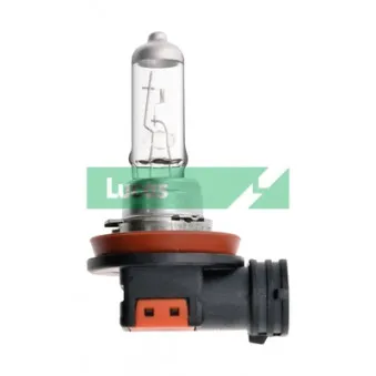 Ampoule, projecteur antibrouillard LUCAS LLB716