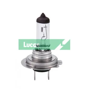 Ampoule, projecteur longue portée LUCAS LLB718